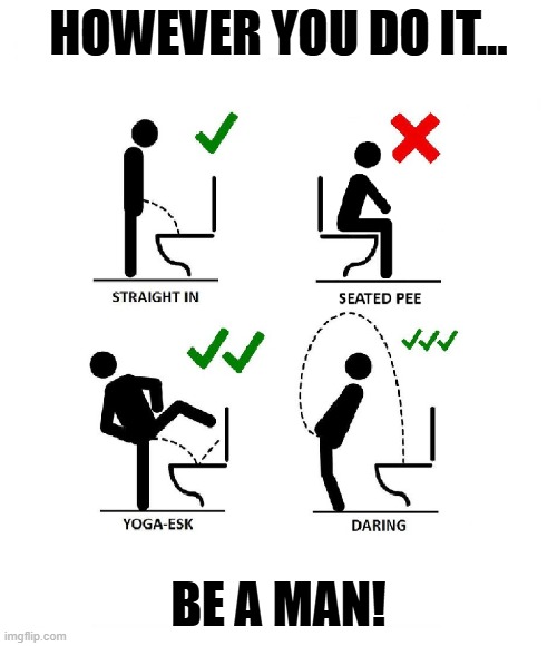 Be a man | HOWEVER YOU DO IT... BE A MAN! | image tagged in funny | made w/ Imgflip meme maker