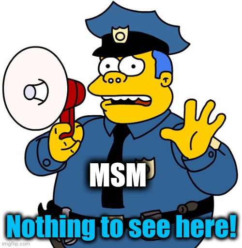 Nothing to See Here | MSM Nothing to see here! | image tagged in nothing to see here | made w/ Imgflip meme maker