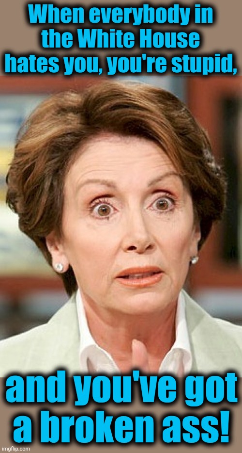 Shocked Pelosi | When everybody in the White House hates you, you're stupid, and you've got
a broken ass! | image tagged in shocked pelosi | made w/ Imgflip meme maker