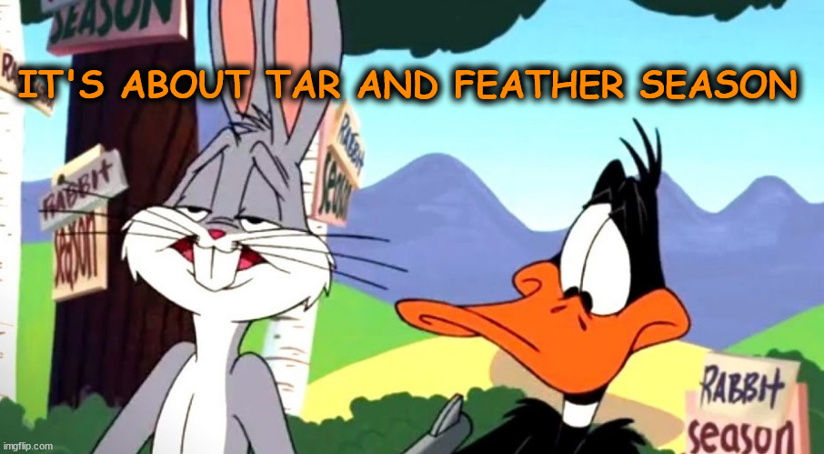 Funny Meme | IT'S ABOUT TAR AND FEATHER SEASON | image tagged in bugs and daffy | made w/ Imgflip meme maker