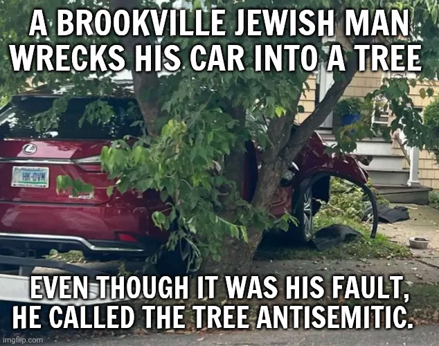 antisemitism | A BROOKVILLE JEWISH MAN WRECKS HIS CAR INTO A TREE; EVEN THOUGH IT WAS HIS FAULT, HE CALLED THE TREE ANTISEMITIC. | image tagged in racism | made w/ Imgflip meme maker