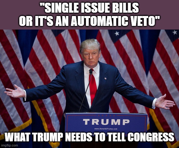 Single issues bills or automatic veto | "SINGLE ISSUE BILLS OR IT'S AN AUTOMATIC VETO"; WHAT TRUMP NEEDS TO TELL CONGRESS | image tagged in donald trump | made w/ Imgflip meme maker