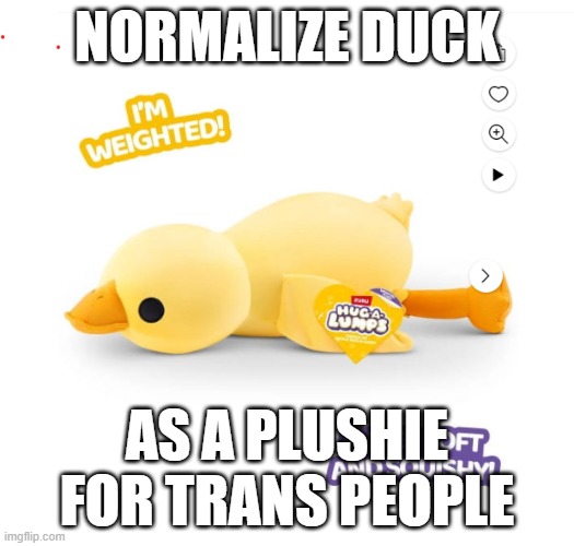 Yes. | NORMALIZE DUCK; AS A PLUSHIE FOR TRANS PEOPLE | image tagged in memes | made w/ Imgflip meme maker