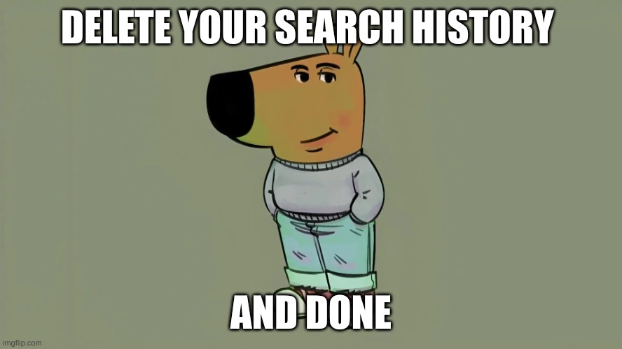 DELETE YOUR SEARCH HISTORY AND DONE | image tagged in chill guy | made w/ Imgflip meme maker