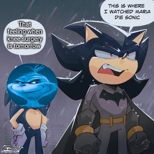 Shadow and sonic | That feeling when knee surgery is tomorrow | image tagged in shadow and sonic | made w/ Imgflip meme maker