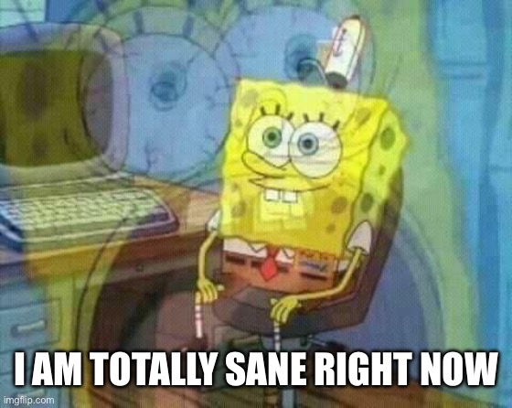 spongebob panic inside | I AM TOTALLY SANE RIGHT NOW | image tagged in spongebob panic inside | made w/ Imgflip meme maker