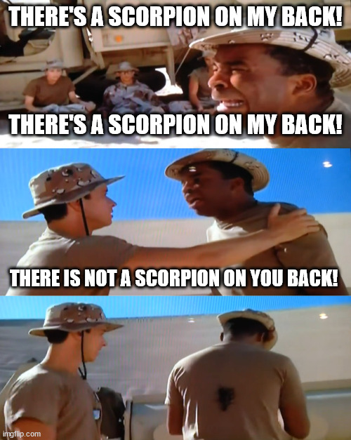 scorpion on my back | THERE'S A SCORPION ON MY BACK! THERE'S A SCORPION ON MY BACK! THERE IS NOT A SCORPION ON YOU BACK! | image tagged in scorpion on my back,in the army now | made w/ Imgflip meme maker