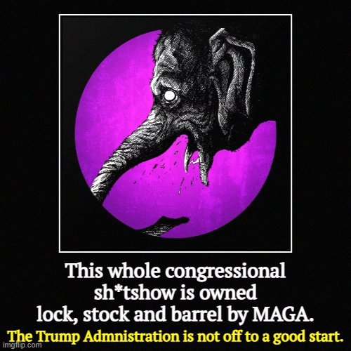 Can't blame this one on the Dems. | This whole congressional sh*tshow is owned lock, stock and barrel by MAGA. | The Trump Admnistration is not off to a good start. | image tagged in funny,demotivationals,republicans,maga,congress,trump | made w/ Imgflip demotivational maker