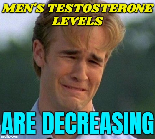 Men's Testosterone Levels Are Decreasing | MEN'S TESTOSTERONE
LEVELS; ARE DECREASING | image tagged in memes,1990s first world problems,sperm,penis,sex,blue balls | made w/ Imgflip meme maker