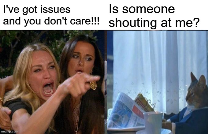 Woman Yelling At Cat | Is someone shouting at me? I've got issues and you don't care!!! | image tagged in memes,woman yelling at cat,cat newspaper | made w/ Imgflip meme maker