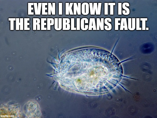 EVEN I KNOW IT IS THE REPUBLICANS FAULT. | made w/ Imgflip meme maker