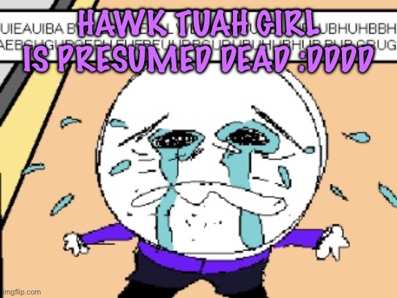 Protagonist crying | HAWK TUAH GIRL IS PRESUMED DEAD :DDDD | image tagged in protagonist crying,cinnabox announcement | made w/ Imgflip meme maker