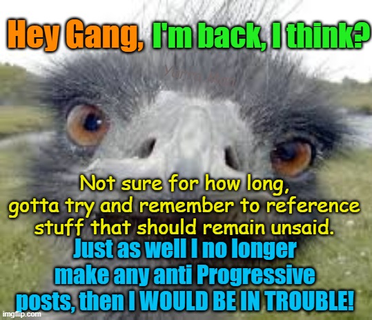 Hey gang, I'm back, I think? | I'm back, I think? Hey Gang, Yarra Man; Not sure for how long, gotta try and remember to reference stuff that should remain unsaid. Just as well I no longer make any anti Progressive posts, then I WOULD BE IN TROUBLE! | image tagged in facebook,social media,msnbc,cnn,abc,censorship | made w/ Imgflip meme maker