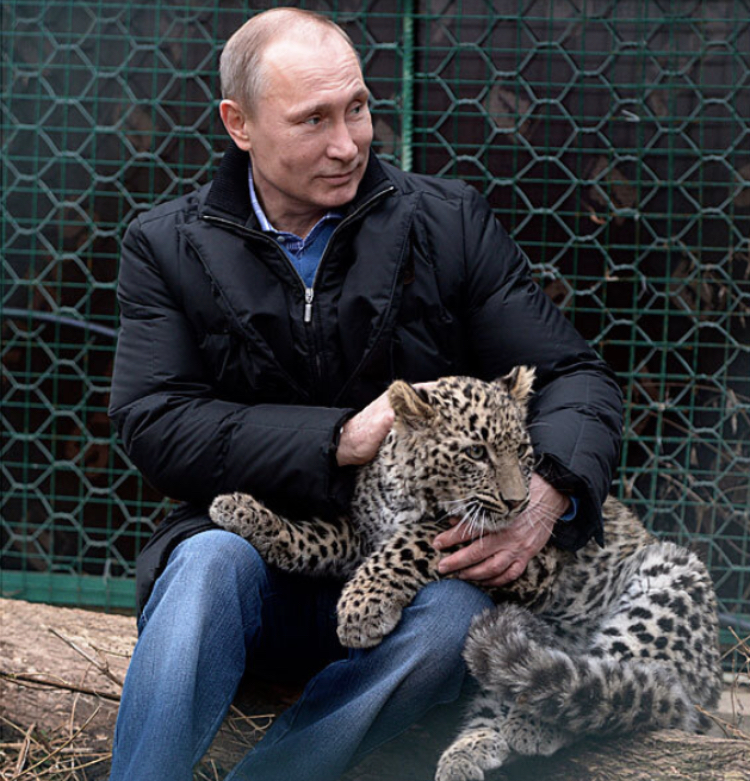 Putin & leopard Blank Meme Template