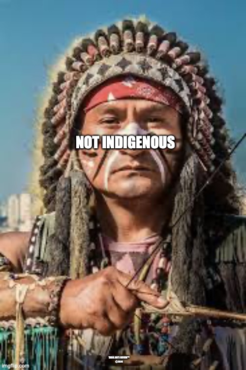 indigenous | NOT INDIGENOUS; TABIA ANI'S REVIEW™
Ⓒ2024 | image tagged in indians | made w/ Imgflip meme maker