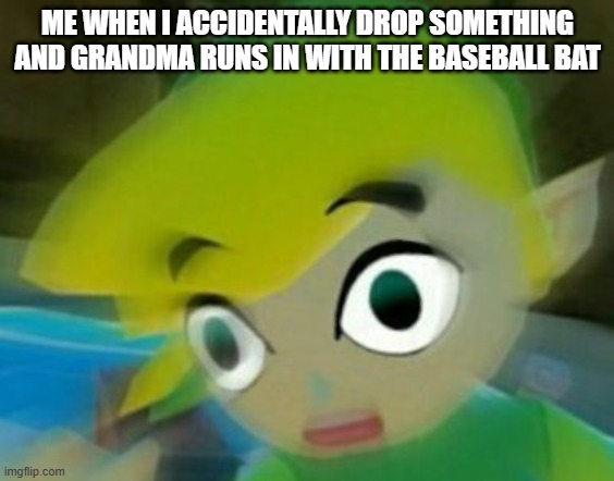 GRANDMA NO! | ME WHEN I ACCIDENTALLY DROP SOMETHING AND GRANDMA RUNS IN WITH THE BASEBALL BAT | image tagged in panicking link,memes,granny | made w/ Imgflip meme maker