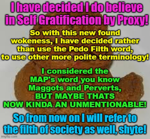 A nicer word for Pedo Filth is SHYTE because no one is offended by this term. | I have decided I do believe in Self Gratification by Proxy! So with this new found wokeness, I have decided rather than use the Pedo Filth word, to use other more polite terminology! I considered the MAP's word you know Maggots and Perverts, BUT MAYBE THATS NOW KINDA AN UNMENTIONABLE! YARRA MAN; So from now on I will refer to the filth of society as well, shyte! | image tagged in woke,self gratification by proxy,pedophiles,democrats,labor,labour | made w/ Imgflip meme maker