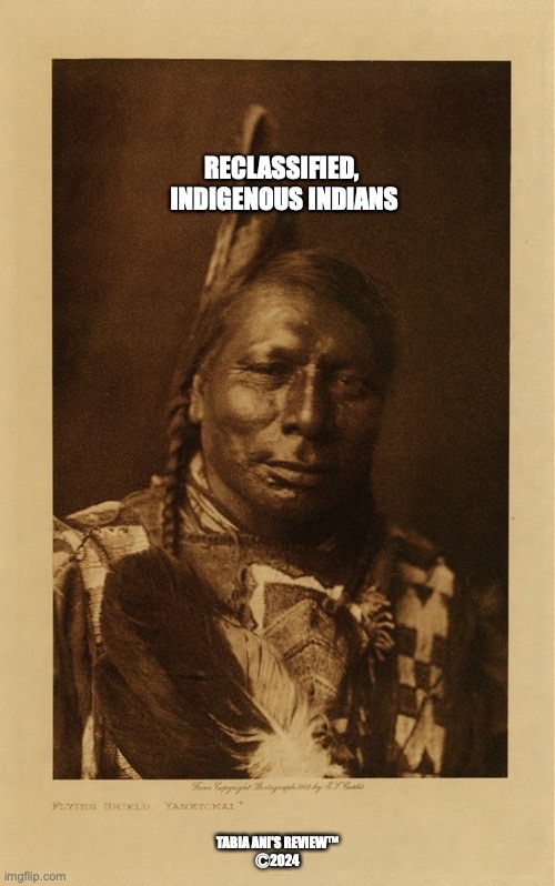 reclassified | RECLASSIFIED,
 INDIGENOUS INDIANS; TABIA ANI'S REVIEW™
Ⓒ2024 | image tagged in indians | made w/ Imgflip meme maker