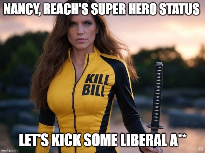 We Need A Hero | NANCY, REACH'S SUPER HERO STATUS; LET'S KICK SOME LIBERAL A** | image tagged in nancy reach's super hero status | made w/ Imgflip meme maker