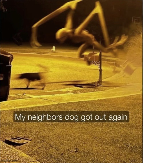 My neighbor's dog got out again | image tagged in my neighbor's dog got out again | made w/ Imgflip meme maker