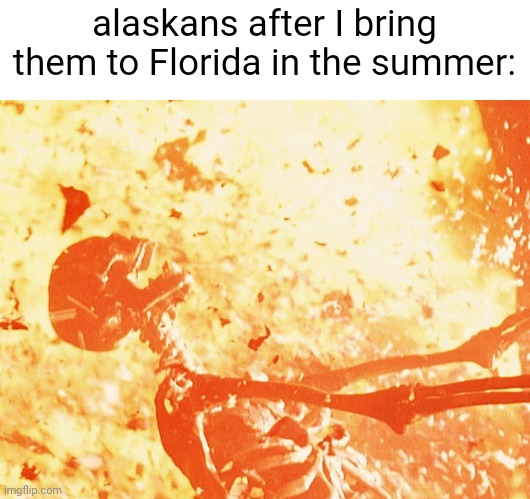 it's only 85 degre- HELP ME | alaskans after I bring them to Florida in the summer: | image tagged in fire skeleton,funny,memes | made w/ Imgflip meme maker