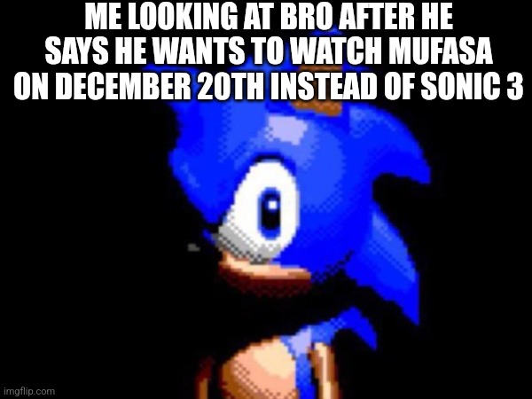 betrayal | ME LOOKING AT BRO AFTER HE SAYS HE WANTS TO WATCH MUFASA ON DECEMBER 20TH INSTEAD OF SONIC 3 | image tagged in sonic the hedgehog,mufasa,movie | made w/ Imgflip meme maker