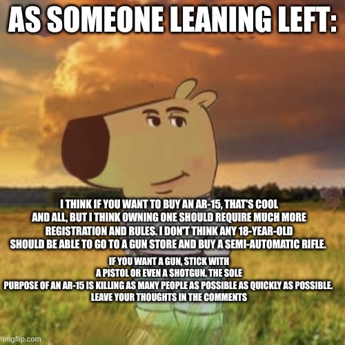 tell me your thoughts | AS SOMEONE LEANING LEFT:; I THINK IF YOU WANT TO BUY AN AR-15, THAT'S COOL AND ALL, BUT I THINK OWNING ONE SHOULD REQUIRE MUCH MORE REGISTRATION AND RULES. I DON'T THINK ANY 18-YEAR-OLD SHOULD BE ABLE TO GO TO A GUN STORE AND BUY A SEMI-AUTOMATIC RIFLE. IF YOU WANT A GUN, STICK WITH A PISTOL OR EVEN A SHOTGUN. THE SOLE PURPOSE OF AN AR-15 IS KILLING AS MANY PEOPLE AS POSSIBLE AS QUICKLY AS POSSIBLE. 

LEAVE YOUR THOUGHTS IN THE COMMENTS | image tagged in chill guy,guns,gun control,discussion,civilized discussion | made w/ Imgflip meme maker