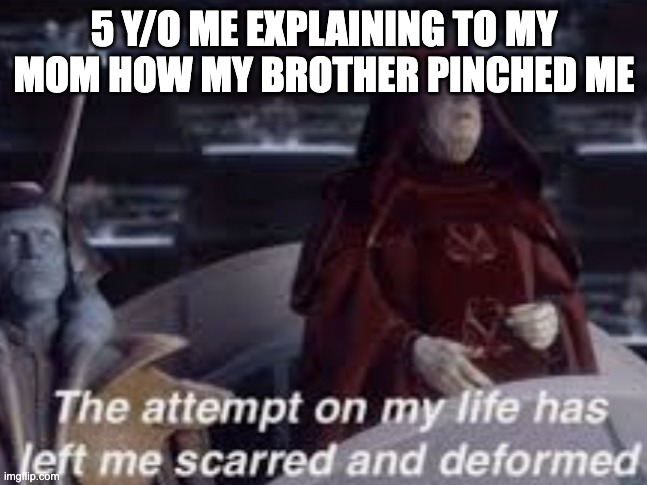 The attempt on my life has left me scarred and deformed | 5 Y/O ME EXPLAINING TO MY MOM HOW MY BROTHER PINCHED ME | image tagged in the attempt on my life has left me scarred and deformed | made w/ Imgflip meme maker