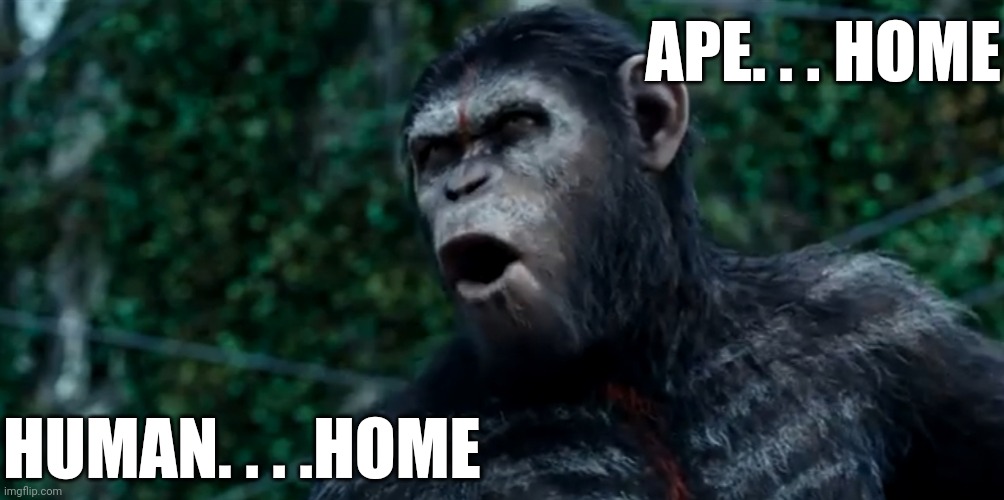 How black people react to a white person in their neighbourhood | APE. . . HOME; HUMAN. . . .HOME | image tagged in caeser,monkey,chimpanzee,black people | made w/ Imgflip meme maker