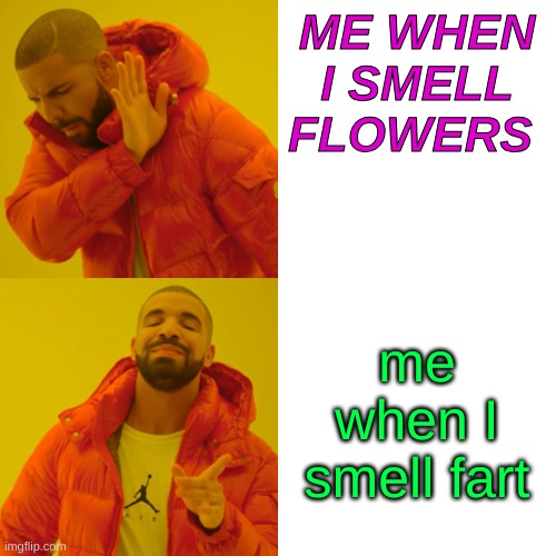 I love funny smells | ME WHEN I SMELL FLOWERS; me when I smell fart | image tagged in memes,drake hotline bling | made w/ Imgflip meme maker