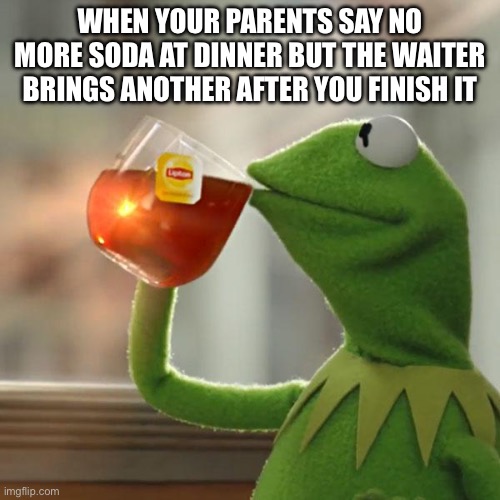 But That's None Of My Business | WHEN YOUR PARENTS SAY NO MORE SODA AT DINNER BUT THE WAITER BRINGS ANOTHER AFTER YOU FINISH IT | image tagged in memes,but that's none of my business,kermit the frog | made w/ Imgflip meme maker