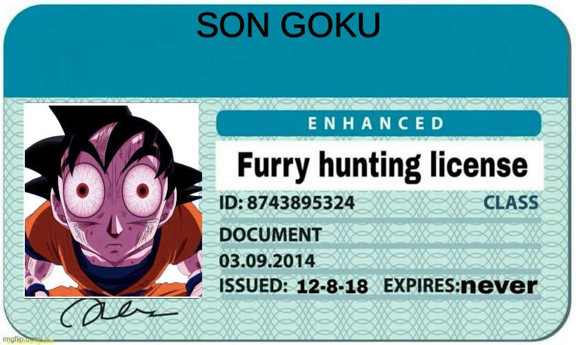 shoot, he found it | SON GOKU | image tagged in furry hunting license,no offense | made w/ Imgflip meme maker