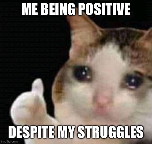 sad thumbs up cat | ME BEING POSITIVE; DESPITE MY STRUGGLES | image tagged in sad thumbs up cat | made w/ Imgflip meme maker