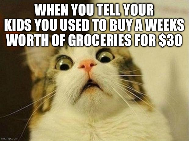 Scared Cat Meme | WHEN YOU TELL YOUR KIDS YOU USED TO BUY A WEEKS WORTH OF GROCERIES FOR $30 | image tagged in memes,scared cat | made w/ Imgflip meme maker