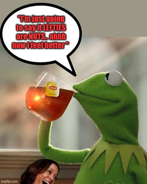 Ribit | "I'm just going to say it LEFTIES are NUTS.. ahhh now i feel better " | image tagged in memes,but that's none of my business,kermit the frog | made w/ Imgflip meme maker