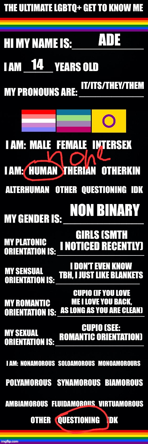 tbh idekm | ADE; 14; IT/ITS/THEY/THEM; NON BINARY; GIRLS (SMTH I NOTICED RECENTLY); I DON'T EVEN KNOW TBH, I JUST LIKE BLANKETS; CUPIO (IF YOU LOVE ME I LOVE YOU BACK, AS LONG AS YOU ARE CLEAN); CUPIO (SEE: ROMANTIC ORIENTATION) | image tagged in the ultimate lgbtq get to know me | made w/ Imgflip meme maker