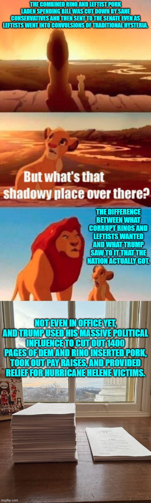 The taxpayers are not obligated to feed you leftists and RINOs pork. | THE COMBINED RINO AND LEFTIST PORK LADEN SPENDING BILL WAS CUT DOWN BY SANE CONSERVATIVES AND THEN SENT TO THE SENATE EVEN AS LEFTISTS WENT INTO CONVULSIONS OF TRADITIONAL HYSTERIA. THE DIFFERENCE BETWEEN WHAT CORRUPT RINOS AND LEFTISTS WANTED AND WHAT TRUMP SAW TO IT THAT THE NATION ACTUALLY GOT. NOT EVEN IN OFFICE YET, AND TRUMP USED HIS MASSIVE POLITICAL INFLUENCE TO CUT OUT 1400 PAGES OF DEM AND RINO INSERTED PORK, TOOK OUT PAY RAISES, AND PROVIDED RELIEF FOR HURRICANE HELENE VICTIMS. | image tagged in simba shadowy place | made w/ Imgflip meme maker