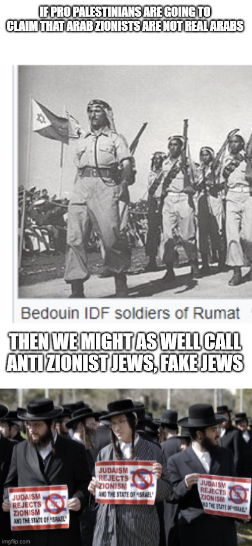 Another case of idiotic Pro Palestinian logic | IF PRO PALESTINIANS ARE GOING TO CLAIM THAT ARAB ZIONISTS ARE NOT REAL ARABS; THEN WE MIGHT AS WELL CALL ANTI ZIONIST JEWS, FAKE JEWS | image tagged in jews,arab,stupid people | made w/ Imgflip meme maker