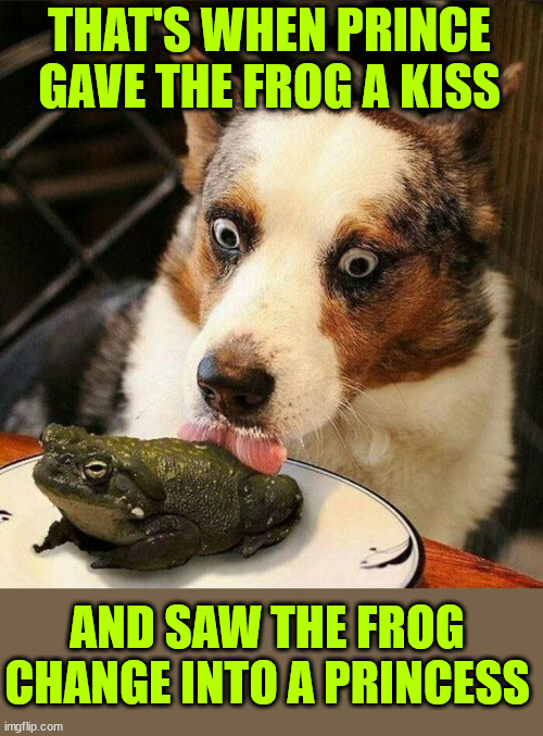 Fairy tales | THAT'S WHEN PRINCE GAVE THE FROG A KISS; AND SAW THE FROG CHANGE INTO A PRINCESS | image tagged in eyeroll,fairy tales | made w/ Imgflip meme maker