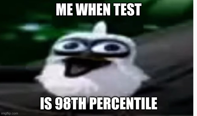 (I'm smart) | ME WHEN TEST; IS 98TH PERCENTILE | image tagged in bird screaming | made w/ Imgflip meme maker