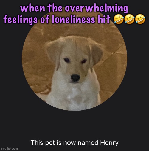 i gotta get off this site too that too i should do that… i wanna be in love so bad | when the overwhelming feelings of loneliness hit 🤣🤣🤣 | image tagged in say hi to henry,cinnabox announcement | made w/ Imgflip meme maker