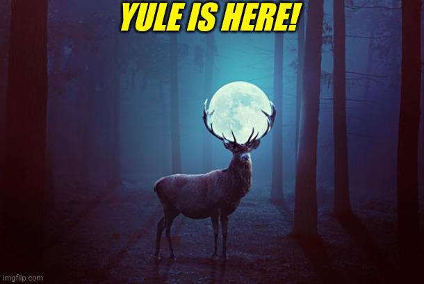 WINTER BEGINS! | YULE IS HERE! | image tagged in solstice,winter,yule | made w/ Imgflip meme maker