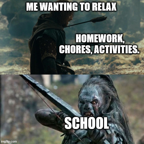 Homework | ME WANTING TO RELAX; HOMEWORK, CHORES, ACTIVITIES. SCHOOL | image tagged in boromir arrows template | made w/ Imgflip meme maker