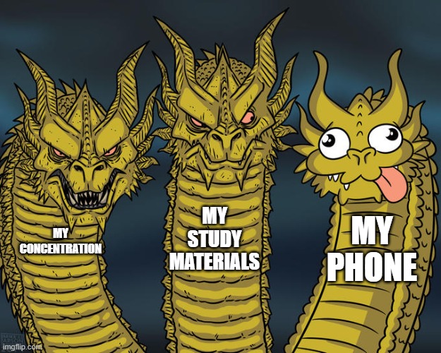 Distracted | MY STUDY MATERIALS; MY PHONE; MY CONCENTRATION | image tagged in three-headed dragon | made w/ Imgflip meme maker