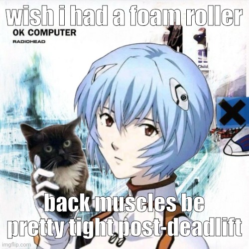 rei y el gato es en álbum "ok computer" | wish i had a foam roller; back muscles be pretty tight post-deadlift | image tagged in rei y el gato es en lbum ok computer | made w/ Imgflip meme maker