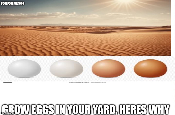 Adds online be like on the internet | POOPPOOPFART.ORG; GROW EGGS IN YOUR YARD, HERES WHY | image tagged in white | made w/ Imgflip meme maker