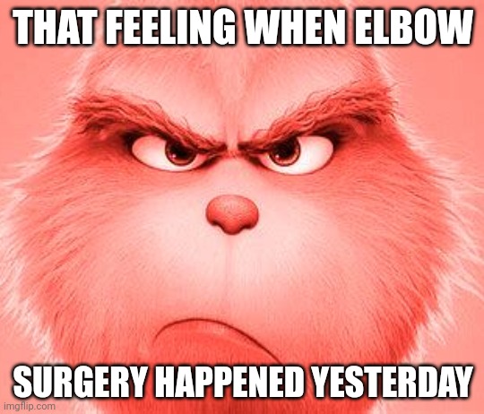 That feeling when elbow surgery happened yesterday | THAT FEELING WHEN ELBOW; SURGERY HAPPENED YESTERDAY | image tagged in grinch,the grinch,knee surgery | made w/ Imgflip meme maker