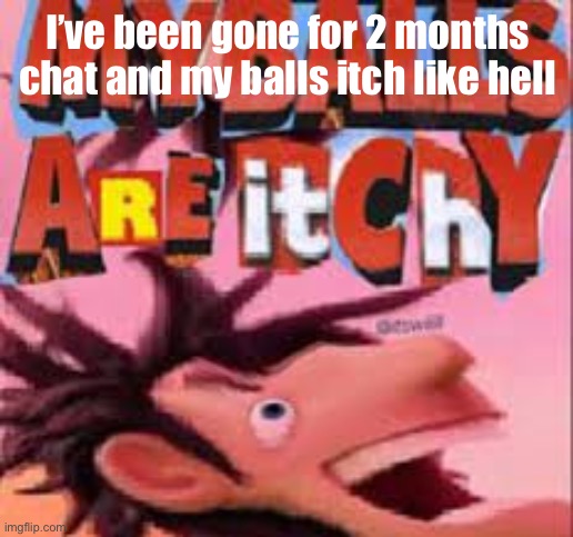 My balls are itchy | I’ve been gone for 2 months chat and my balls itch like hell | image tagged in my balls are itchy | made w/ Imgflip meme maker