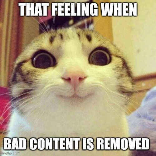 Smiling Cat Meme | THAT FEELING WHEN; BAD CONTENT IS REMOVED | image tagged in memes,smiling cat | made w/ Imgflip meme maker