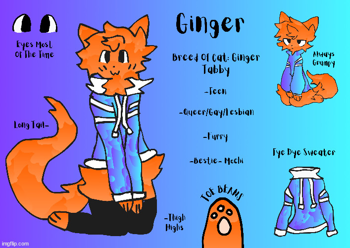 Ginger! | image tagged in meow | made w/ Imgflip meme maker